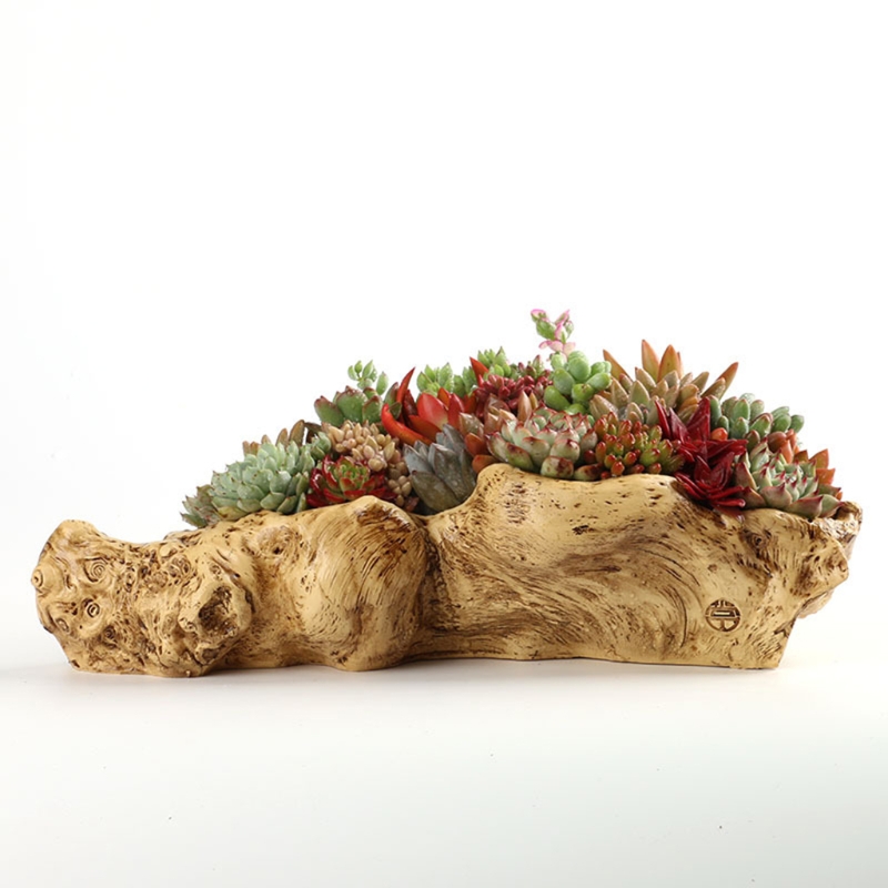 Pastoral Retro Landscape Flowe - Bonsai Tree Zen Garden 评论和价格