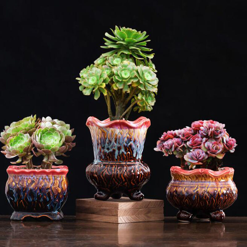 Creative Glazed Flowerpot Succ - Bonsai Tree Zen Garden 评论和价格