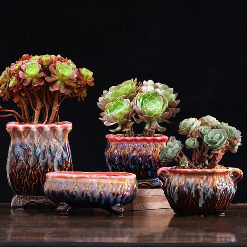 Creative Glazed Flowerpot Succ - Bonsai Tree Zen Garden 评论和价格