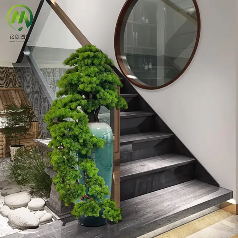 Decorative Evergreen Welcome P - Bonsai Tree Miniature Zen Garden 评论和价格