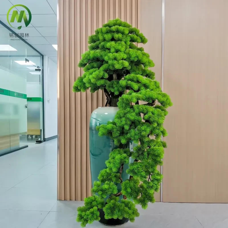 Decorative Evergreen Welcome P - Bonsai Tree Miniature Zen Garden 评论和价格