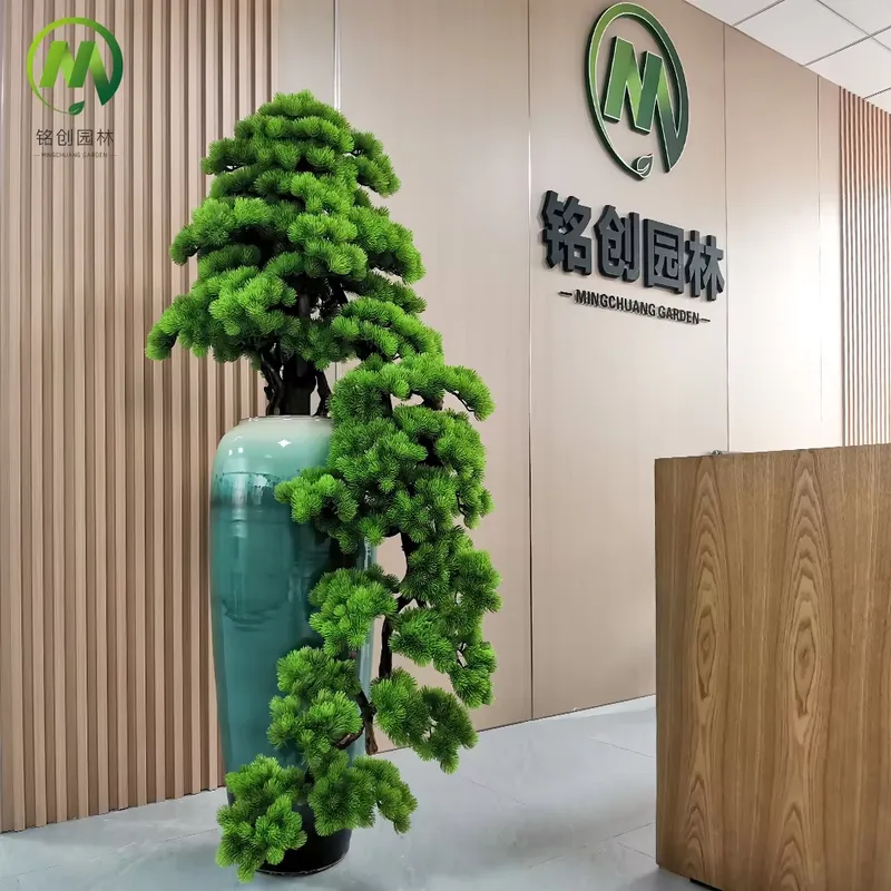 Decorative Evergreen Welcome P - Bonsai Tree Miniature Zen Garden 评论和价格