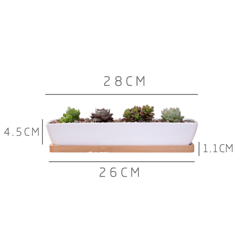 Long Rectangle White Ceramic S - Bonsai Tree Zen Garden 评论和价格