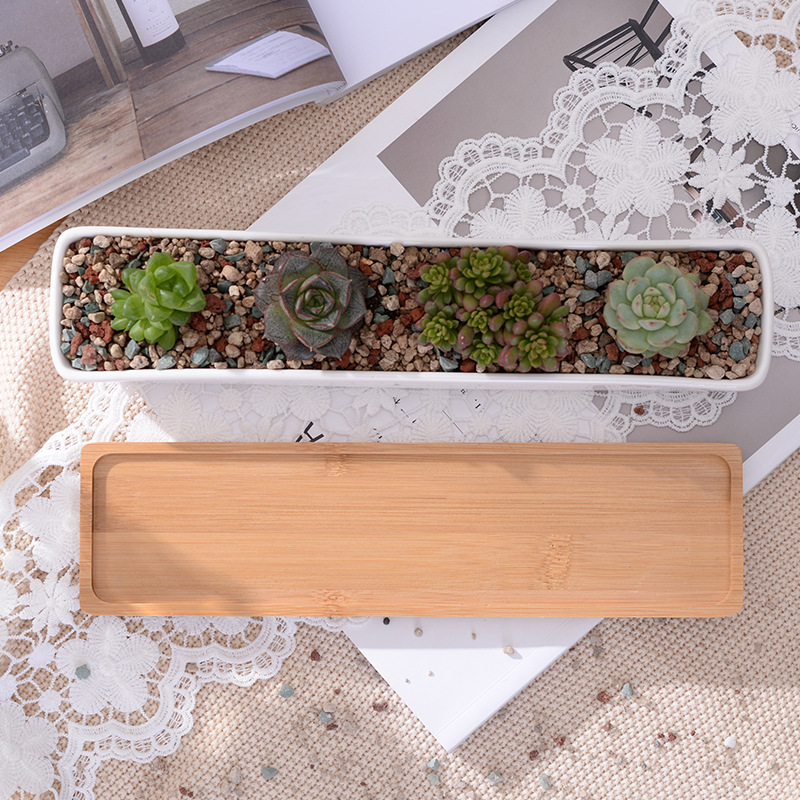 Long Rectangle White Ceramic S - Bonsai Tree Zen Garden 评论和价格