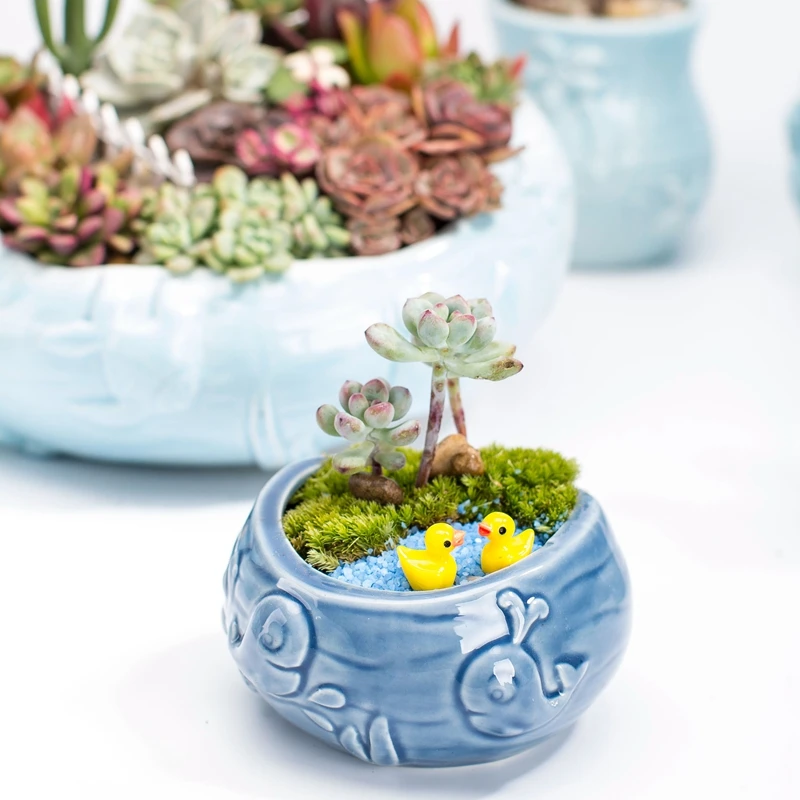 European Style Cute Fleshy Flo - Bonsai Tree Zen Garden 评论和价格
