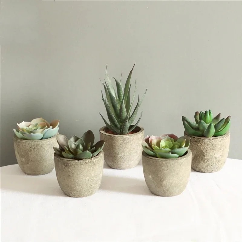 Mini Artificial Aloe Plants Bo - Bonsai Garden Sushi 评论和价格