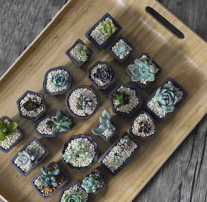 Yixing Purple Sand Flower Pot  - Bonsai Tree Zen Garden 评论和价格