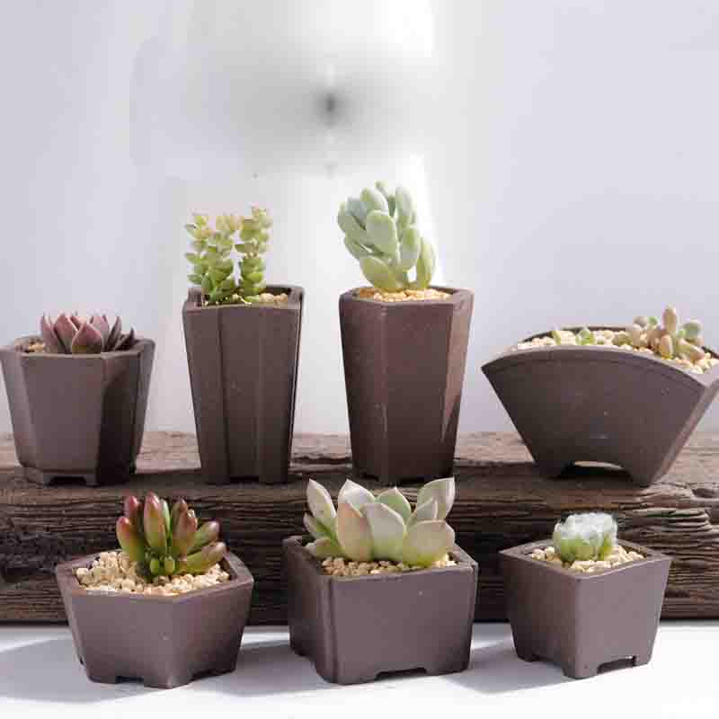 Yixing Purple Sand Flower Pot  - Bonsai Tree Zen Garden 评论和价格