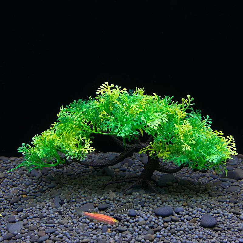 Aquarium bonsai tree, plant, f - Bonsai Garden Sushi 评论和价格