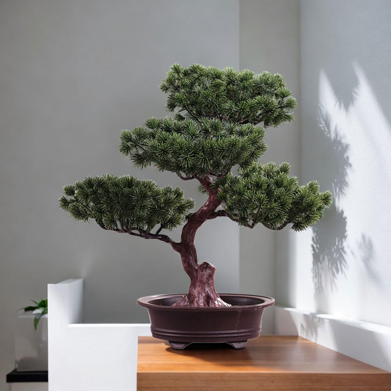 Artificial Bonsai Fake Tree Po - Bonsai Tree Zen Garden 评论和价格