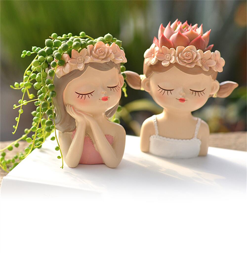 Fairy Succulent Flowerpot Desk - Bonsai Tree Zen Garden 评论和价格