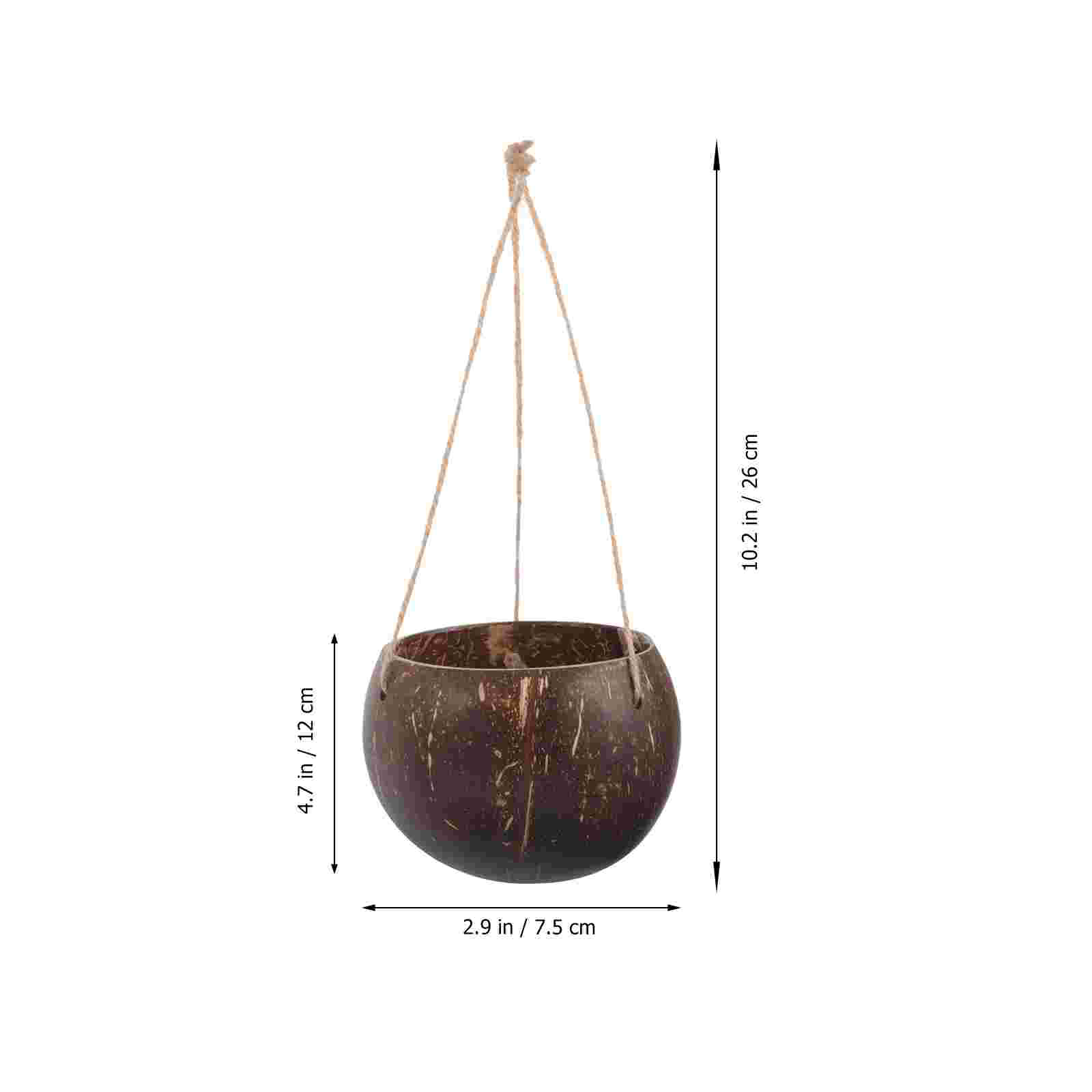 Large Hanging Planter Coconut  - Bonsai Tree Zen Garden 评论和价格